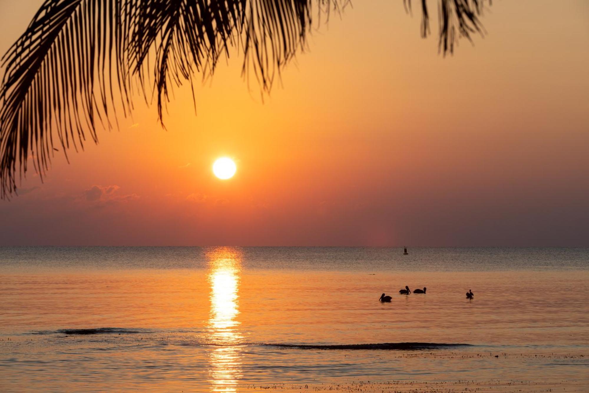 Blue Marlin Beach Resort Dangriga Εξωτερικό φωτογραφία