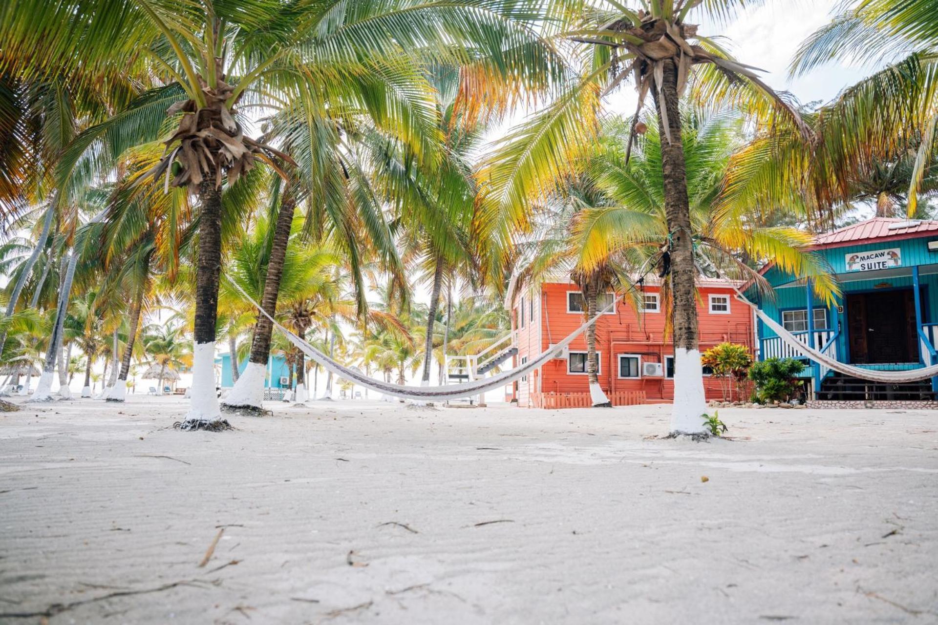 Blue Marlin Beach Resort Dangriga Εξωτερικό φωτογραφία