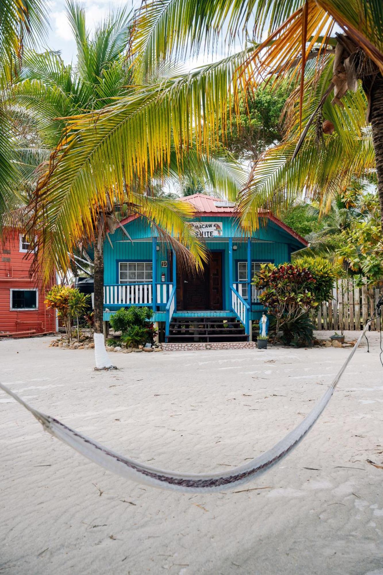 Blue Marlin Beach Resort Dangriga Εξωτερικό φωτογραφία