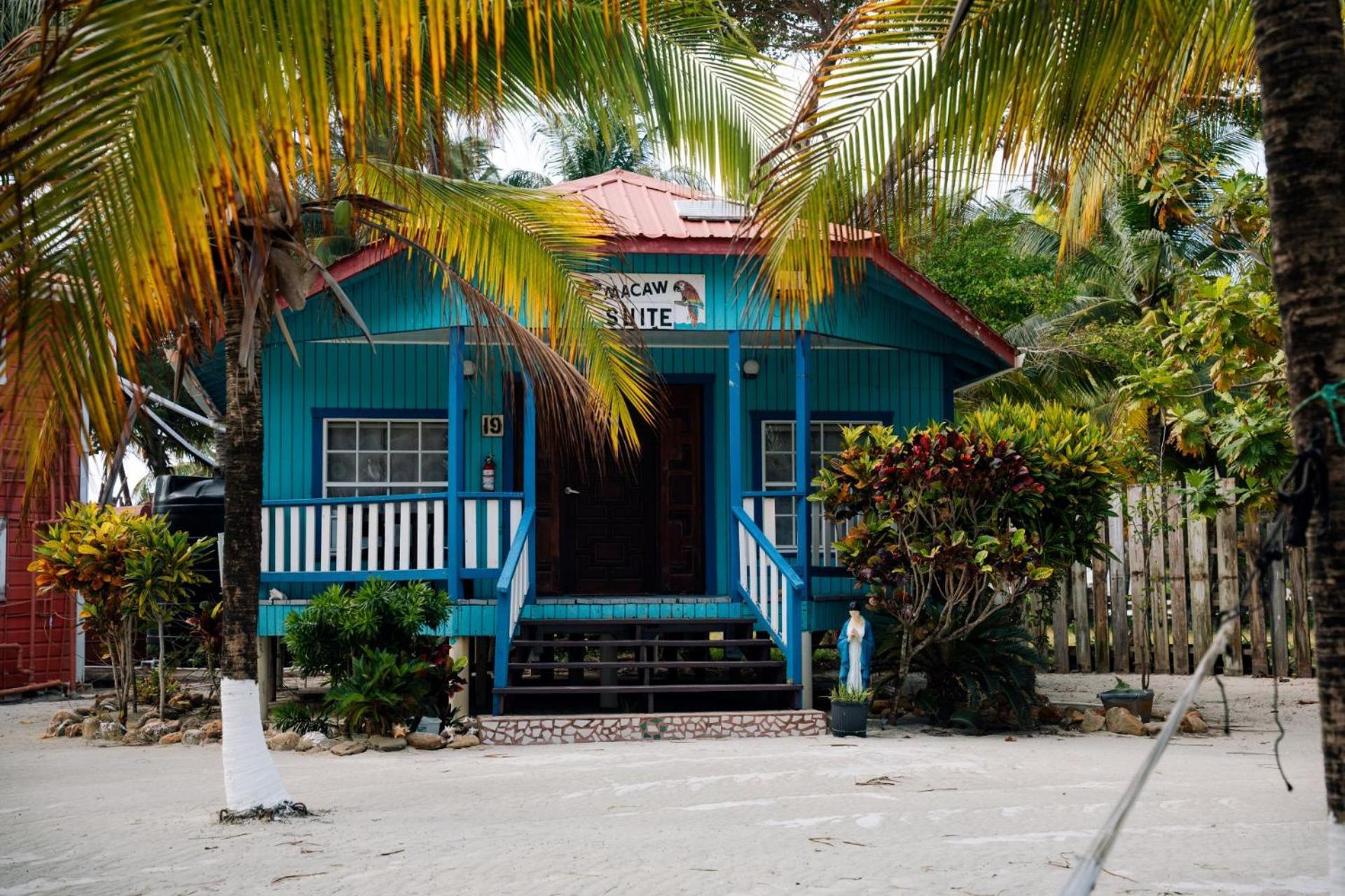 Blue Marlin Beach Resort Dangriga Εξωτερικό φωτογραφία