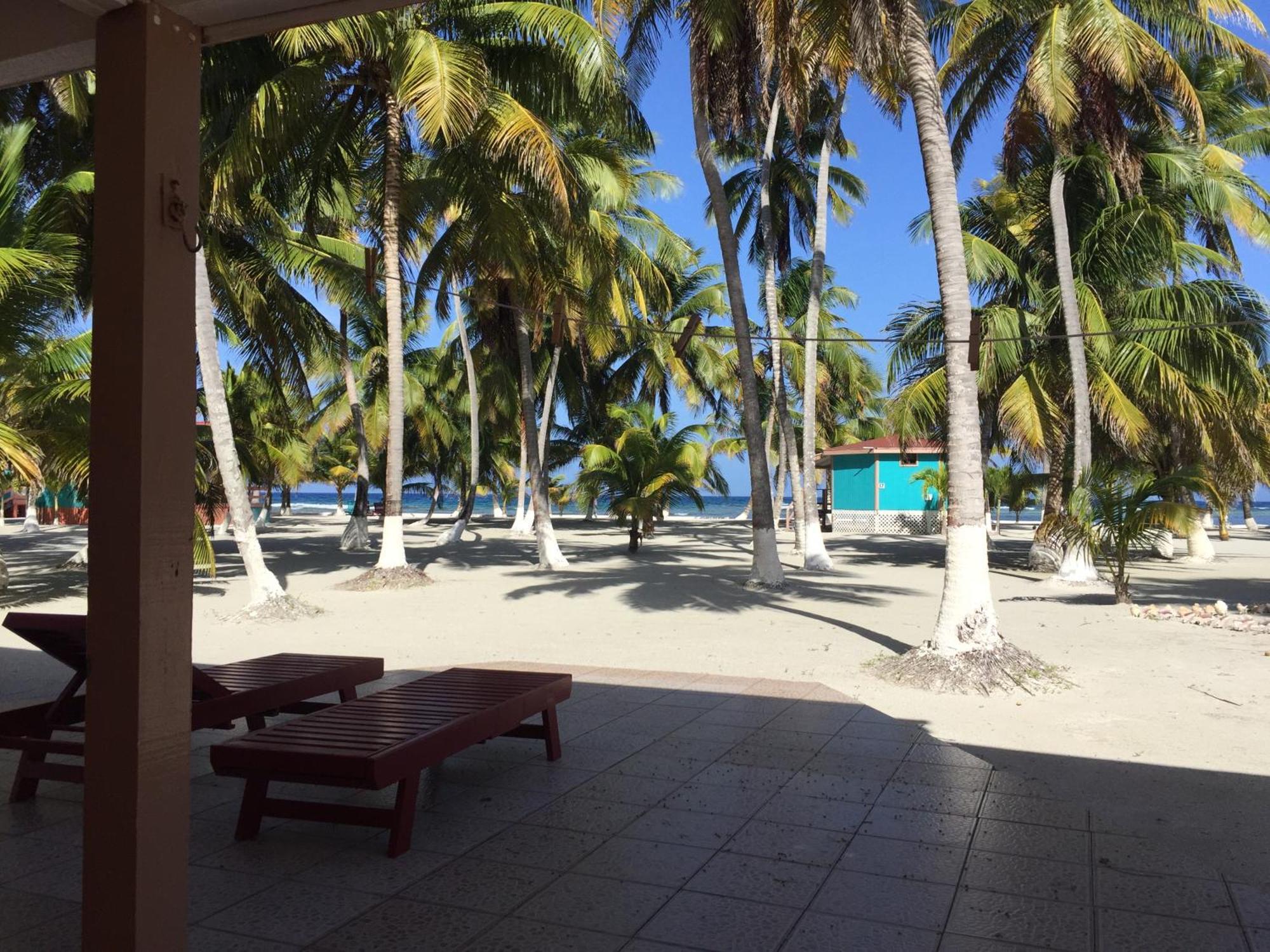 Blue Marlin Beach Resort Dangriga Εξωτερικό φωτογραφία